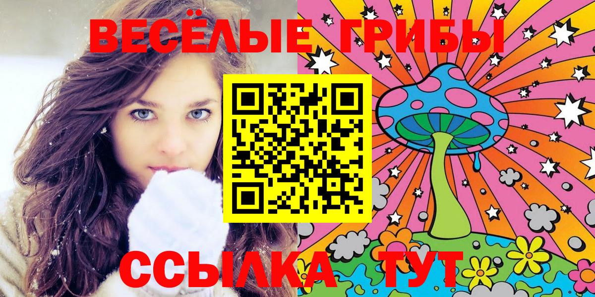 Сорочинск  Псилоцибиновые грибы GOLDEN TEACHER  Вход с VPN 